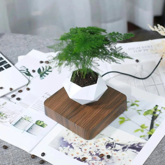 Levitar Bonsai: Magical Floating Planter